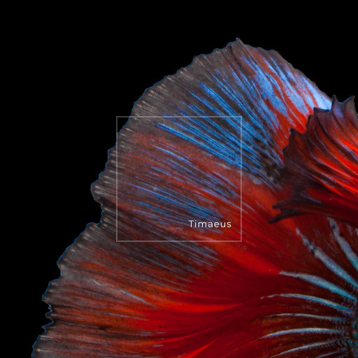 13禁🍆🍑🔞❌❌❌
